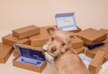 najlepsze hurtownie dropshipping