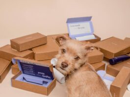najlepsze hurtownie dropshipping