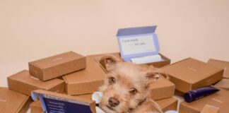najlepsze hurtownie dropshipping