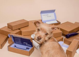 najlepsze hurtownie dropshipping