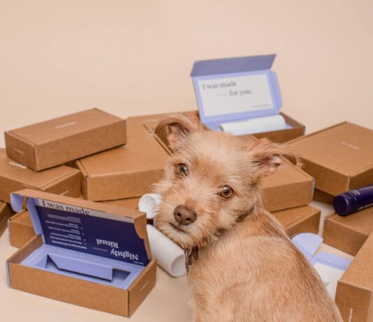 najlepsze hurtownie dropshipping