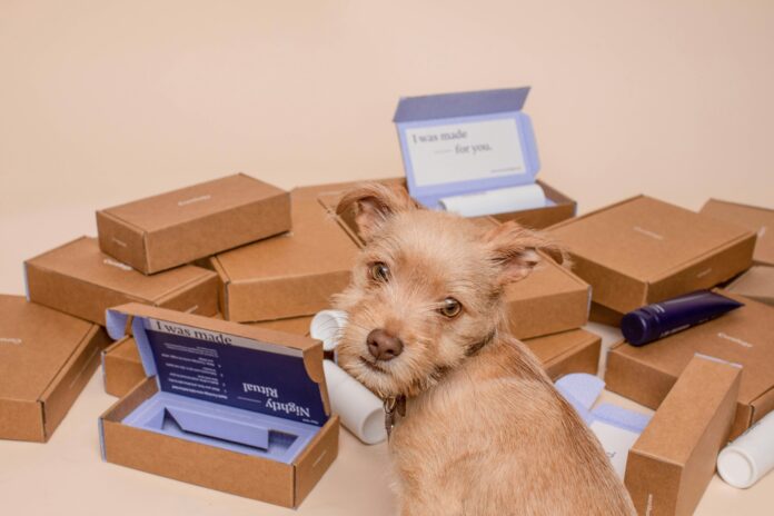 najlepsze hurtownie dropshipping